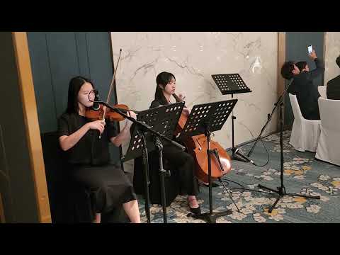소피텔앰배서더 피아노3중주 포터왈츠 Potter waltz 웨딩연주/결혼식연주
