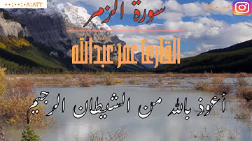 أَفَمَن شَرَحَ ٱللَّهُ صَدۡرَهُۥ لِلۡإِسۡلَٰمِ |سورة الزمر|عمر عبدالله