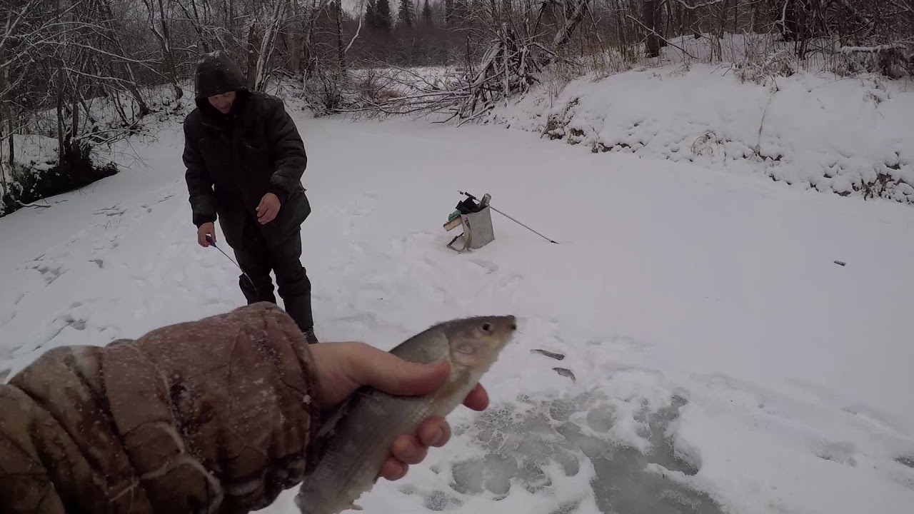 Хариус зимой на малых реках Хариус зимой на малых реках