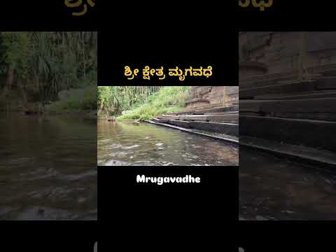 mrugavadhe tirthalli
