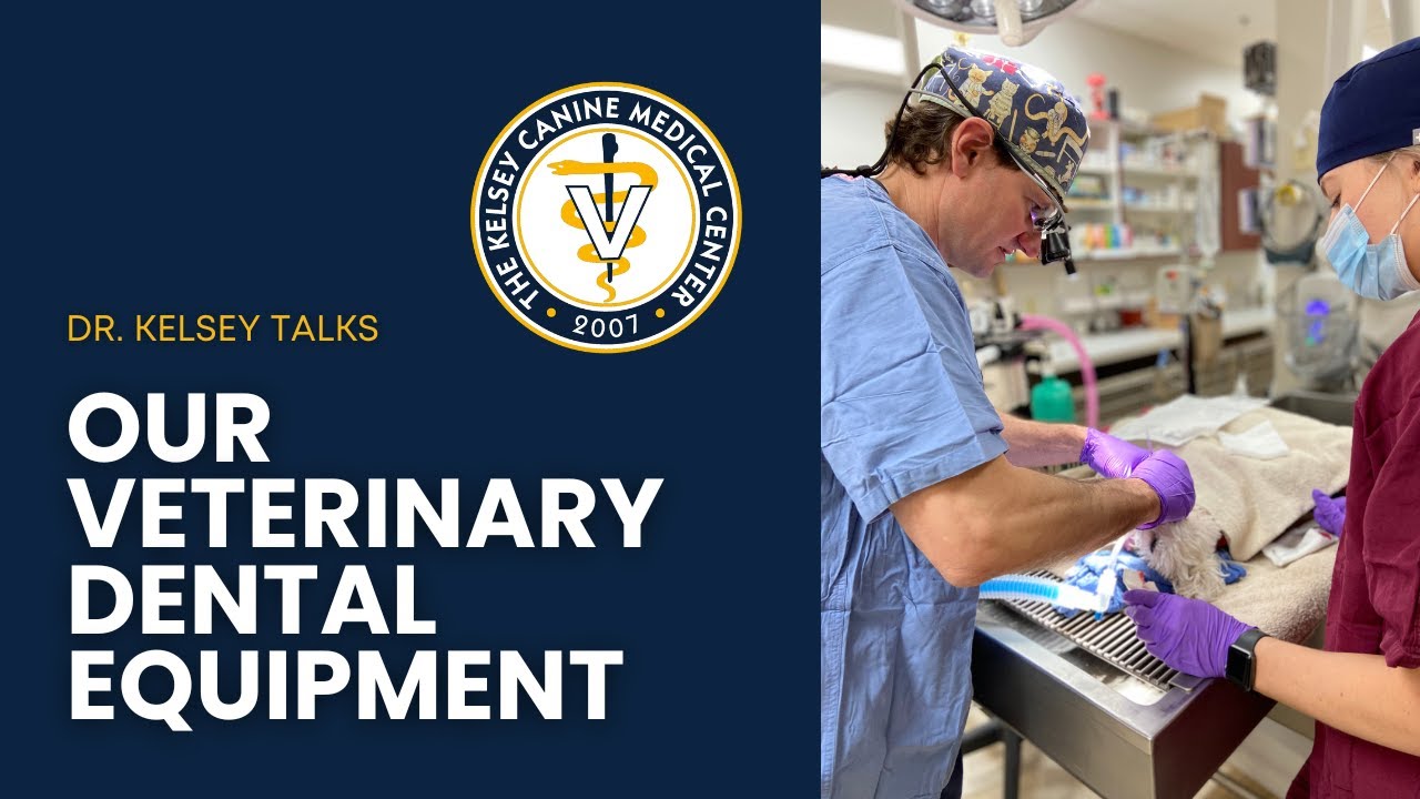 A Look At Our Veterinary Dental Equipment
