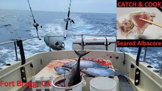 DOUBLE, TRIPLE, QUAD Hook Ups! Catch & Cook ALBACORE TUNA Fishing