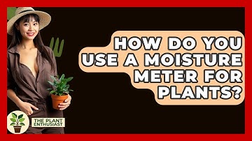How Do You Use A Moisture Meter For Plants? - The Plant Enthusiast