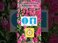 Ôn Thi 600 Câu GPLX | Giải Chi Tiết Ghi Nhớ Dễ Nhất p28 #short