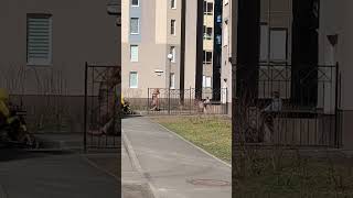 1 апреля, по дороге на маникюр😂 #санктпетербург #peterburg #1апреля #питер #состояниедуши #весна