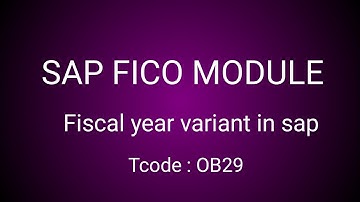 Sap FICO fiscal year variant