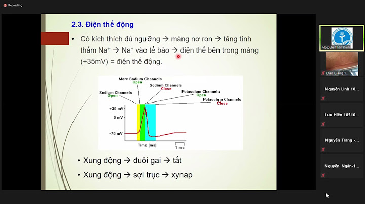 Hướng dẫn chuyền của các nơ ron năm 2024