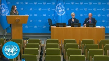 Independence of Judges and Lawyers - Press Conference | United Nations