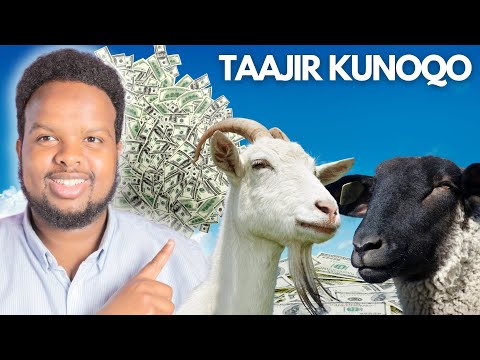 HALKAN AYAY LACAGTU KUJIRTAA Best Somali Investment