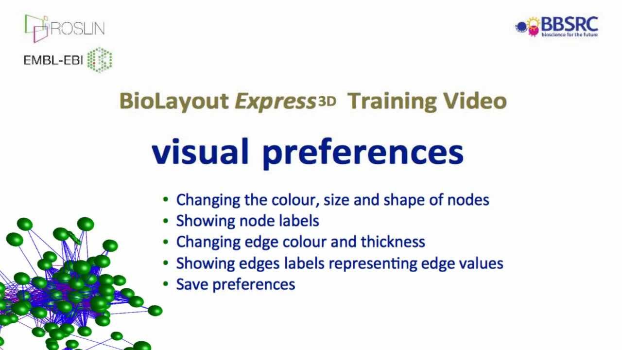 Visual Preferences for Nodes and Edges