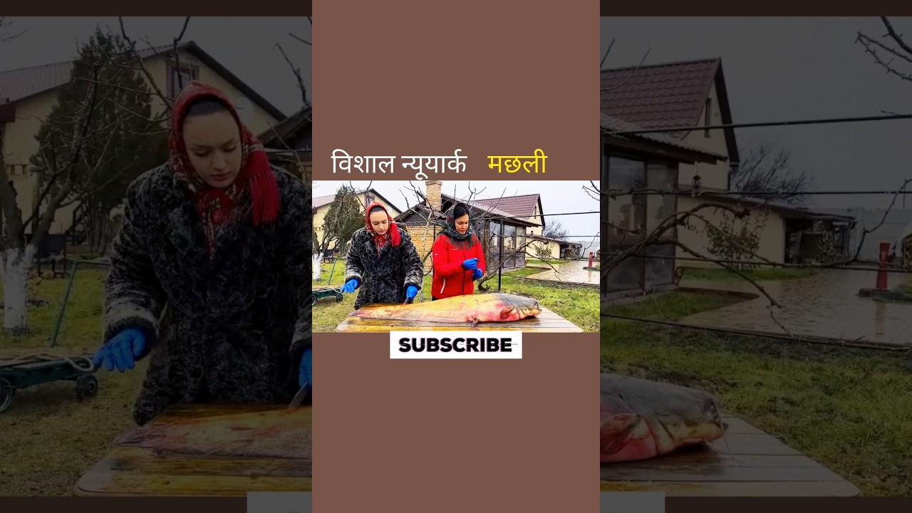 विशाल न्यूयॉर्क मछली 😱 #aivideo #facts #shortvideo #shortsfeed #fish #youtubeshorts #fishing