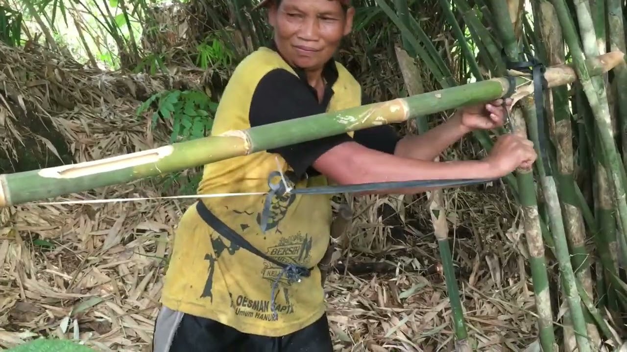 Cara membuat perangkap Tikus maupun Tupai 🧐