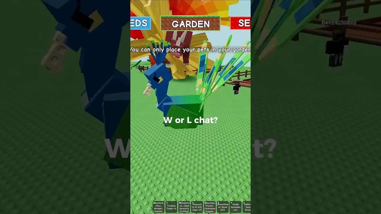 I GOT A 16 KG PEACOCK!?!! 