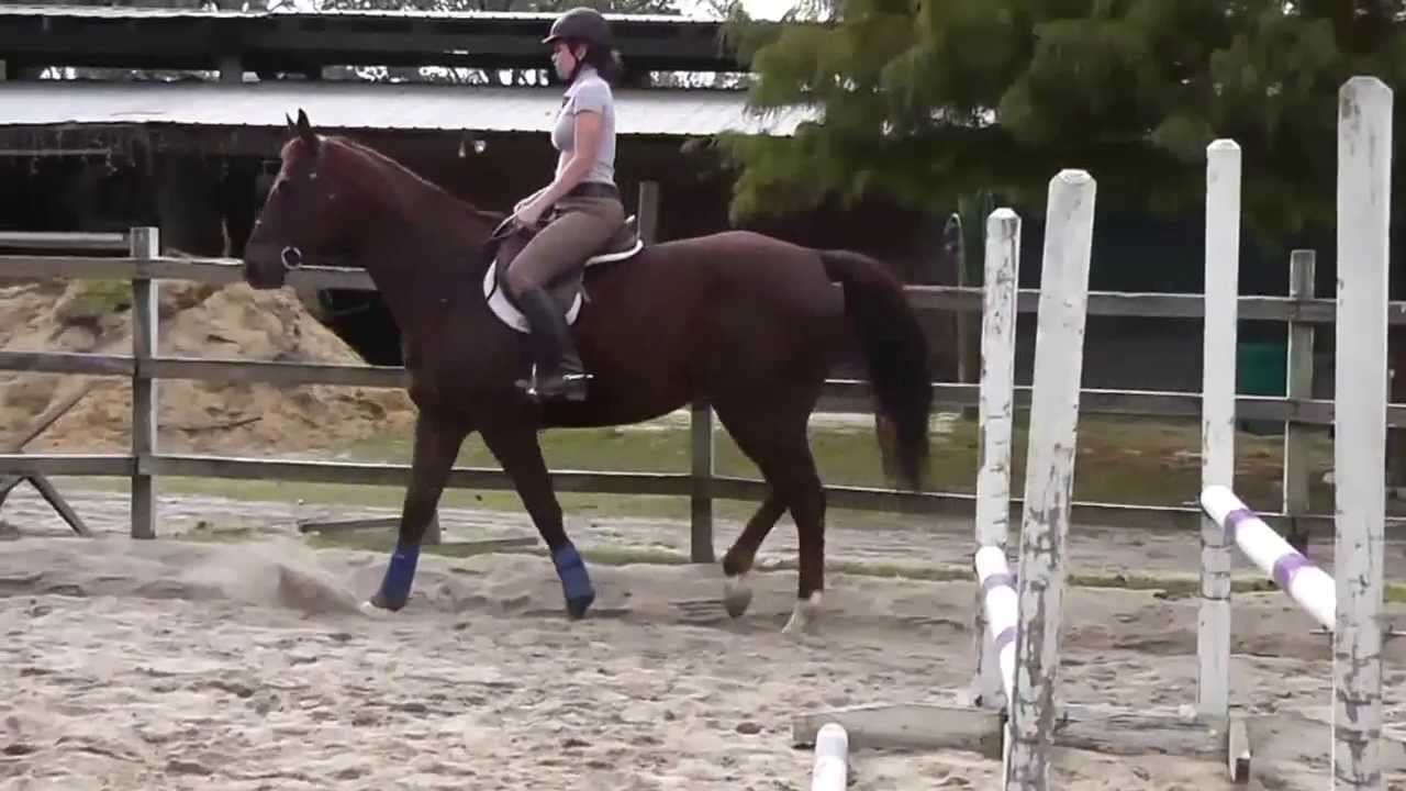 Suddenly Blessed SALE VIDEO