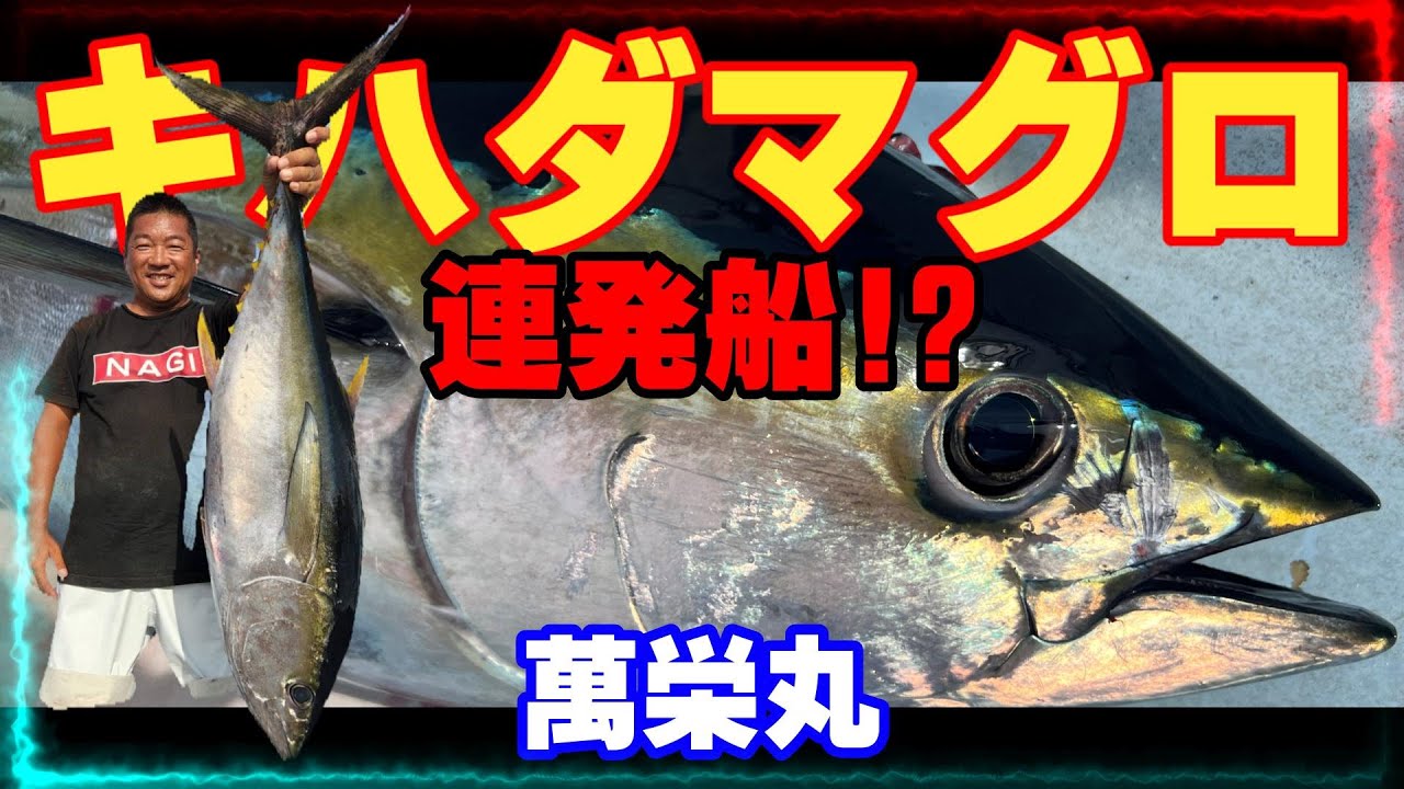 【萬栄丸】キハダマグロ釣り　流しの度に誰かにHITの連発船!!　コマセキハダ・カツオ船