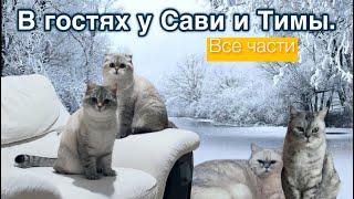 В гостях у Сави и Тимы. Все части!