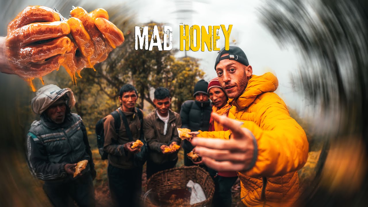 the-most-dangerous-honey-in-the-world-mad-honey-in-nepal-youtube