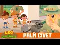 Helping The Cat-like Civet Find Its Mom! | Leo the Wildlife Ranger| Kids Video | @Mediacorp okto