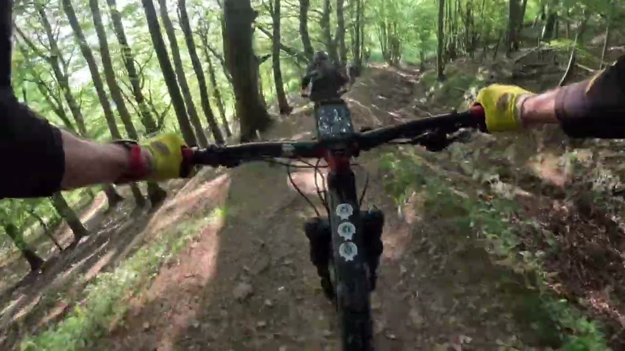 Butterfly Reserve Descent Mountain Biking on Cleeve Hill Cheltenham