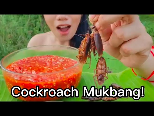 Ms Jin Su Cockroach Mukbang!