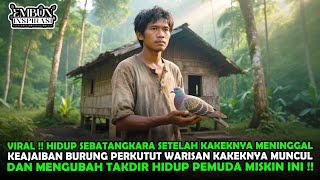 VIRAL !! PEMUDA INI TAK PERNAH MENYANGKA, BURUNG PERKUTUT WARISAN KAKEKNYA MENYIMPAN RAHASIA BESAR