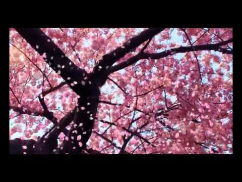 მედიტაცია - თამარ არაგველი - Meditation