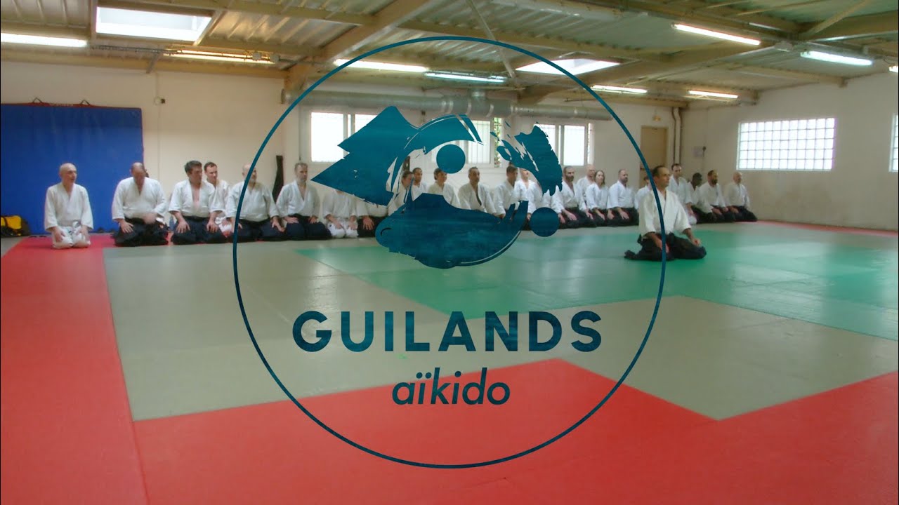 Fabrice Croizé - Stage d'AIkido au Dojo des Guilands (janvier 2024)
