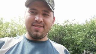 #61. Продали телят. Новости с хозяйства.