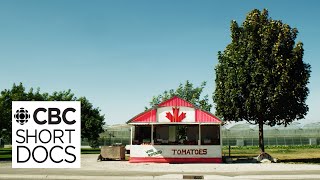 The Ketchup War: How Heinz &amp; French’s turned the ‘Tomato Capital of Canada’ into a battleground