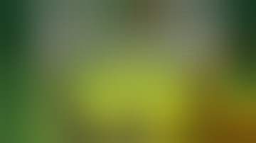 THE ENEMY FLAG HAS BEEN RETURNED #2