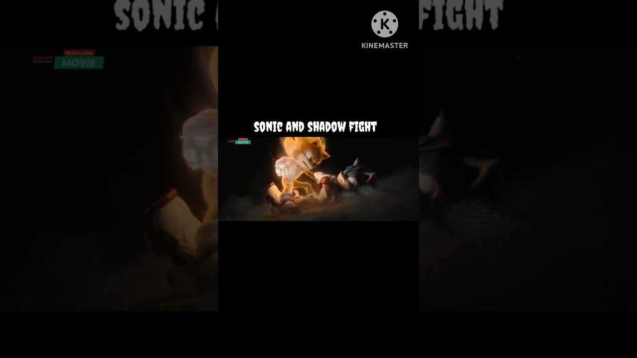 sonic and shadow fight 😦 