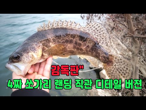 감독판&amp;quot; 4짜 쏘가리 <strong>랜딩</strong> 직관 디테일 버젼/ 속여울이 굵게 흐르는 포인트에서의 가벼운 지그헤드 움직임에 관한 팁들