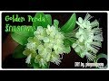 EP 92: How to make nylon flower (ดอกรักแรกพบ,Golden Penda) by.ployandpoom