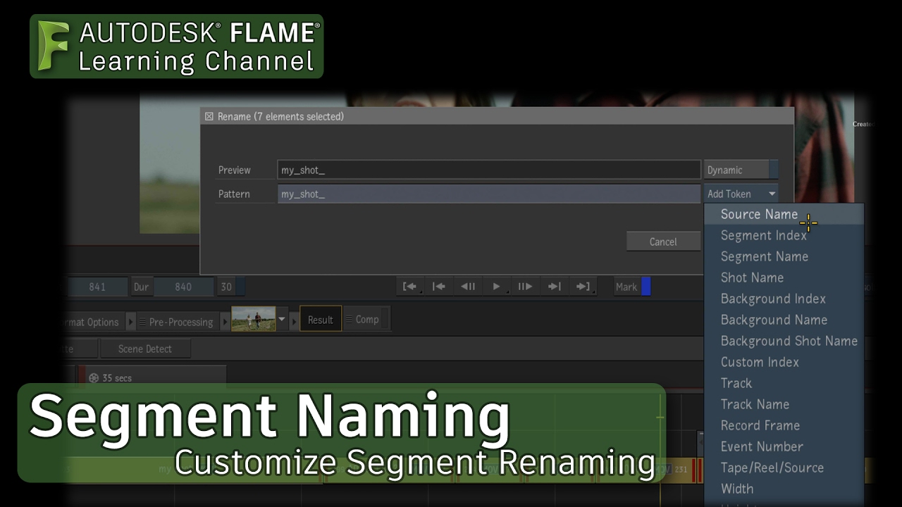 Customizing with Segment Renaming - Flame 2018 - YouTube