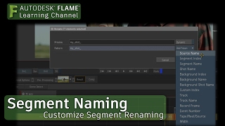 Customizing with Segment Renaming - Flame 2018