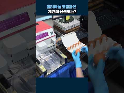코팅한 계란의 신선도 #shorts