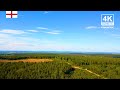 4K England Forest Drone Nature Background | Cannock Chase | Relaxing Ambient Wallpaper | 184