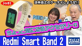 シャオミ Redmi Smart Band 2【ちょっと気になるアクセサリー／706／2023年2月22日公開】