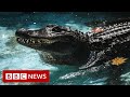 'World's oldest' alligator celebrates 85th birthday - BBC News