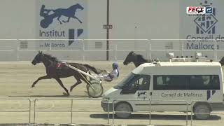 Vidéo de la course PMU PREMI JORIM ASSA