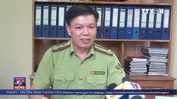 Hiệu quả công tác quản lý bảo vệ và phát triển rừng ở Tuyên Quang