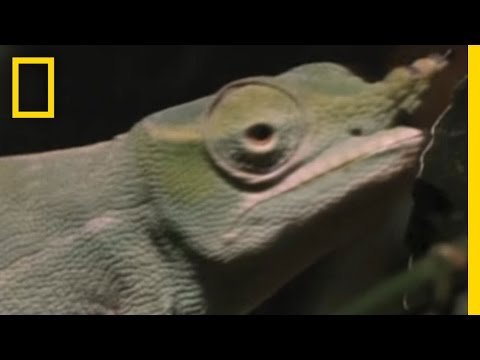 Featured post 1