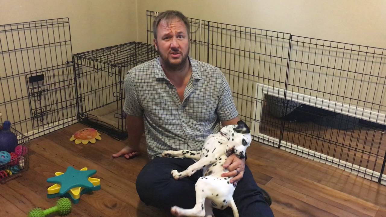 Train vs Social Strategy