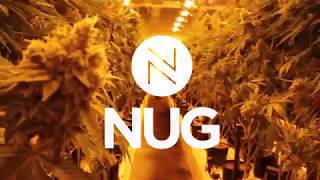 NUG Virtual Tour