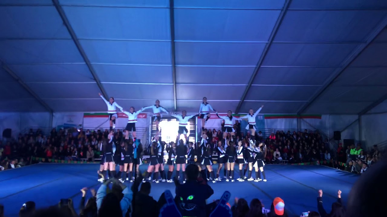 Barras Gimnasio Femenino Final Campeón (Moderno 2019)
