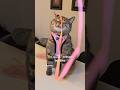 New Harness From Rabbitgoo 15 OFF IGBELLA15 Link In Bio Rabbitgoo RGcommunity Rabbitgooharness 