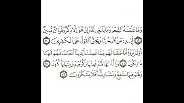 سورة يس 15 القسم الخامس عشر تكرار كيفي من .. وما علمناه الشعر وما ينبغي له .. إلى .. أفلا يشكرون