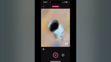 Scaniverse Update trial - 3D Gaussian Splatting