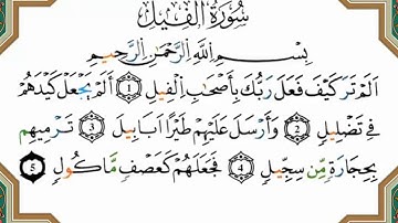 سورة الفيل برواية ورش القارئ ياسين الجزائري