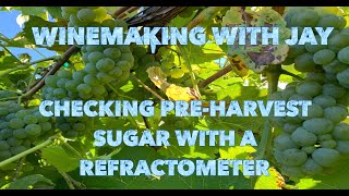 Beginner Winemaking: Using a Refractometer